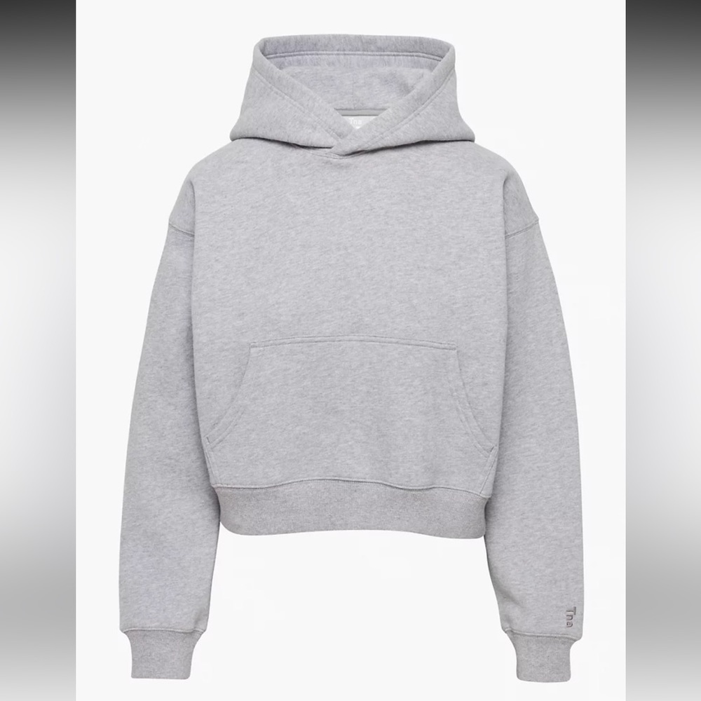 Aritzia Cozy Fleece Boyfriend Shrunken Hoodie
